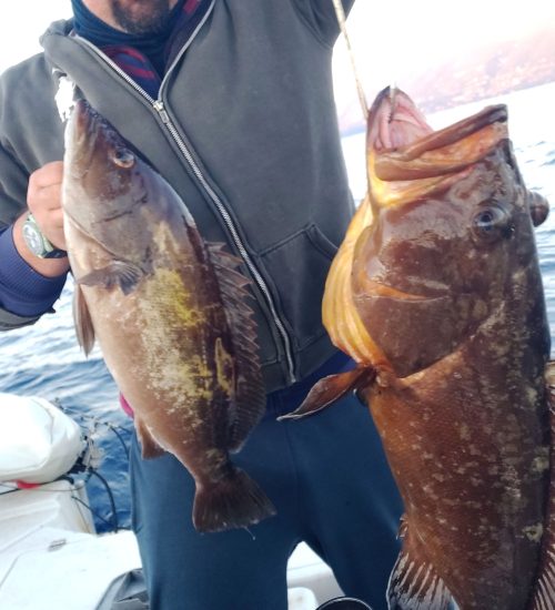 Fiscardo Fishing Trips