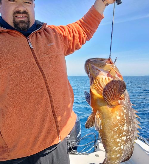 Fiscardo Fishing Trips