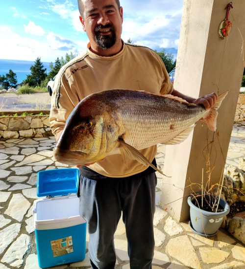 Fiscardo Fishing Trips