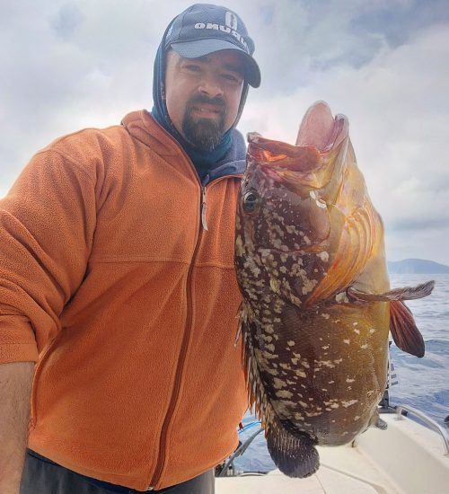 Fiscardo Fishing Trips