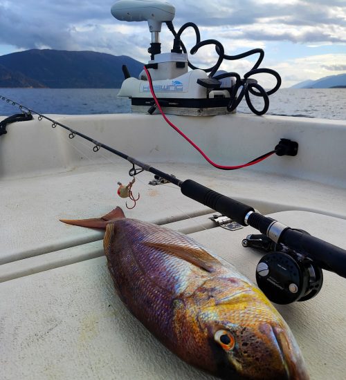 Fiscardo Fishing Trips