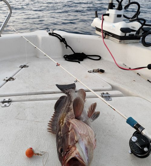 Fiscardo Fishing Trips