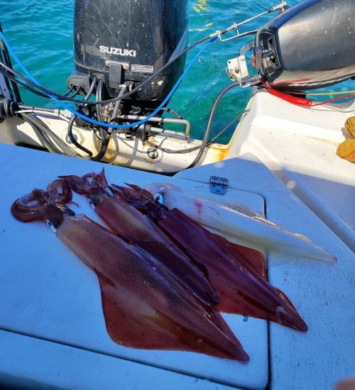 Fiscardo Fishing Trips