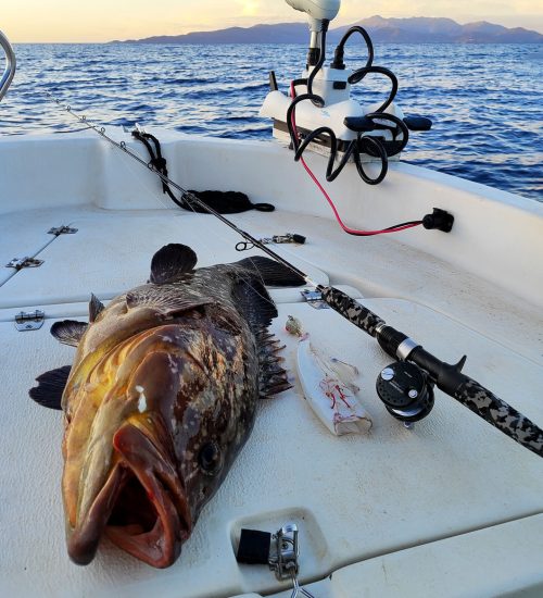 Fiscardo Fishing Trips