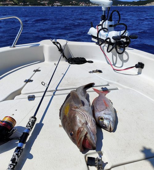 Fiscardo Fishing Trips